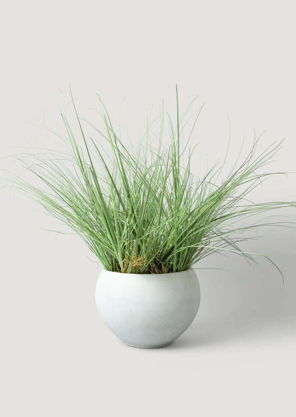 Artificial Potted Grass Plant in Cement Pot - 44" | Afloral