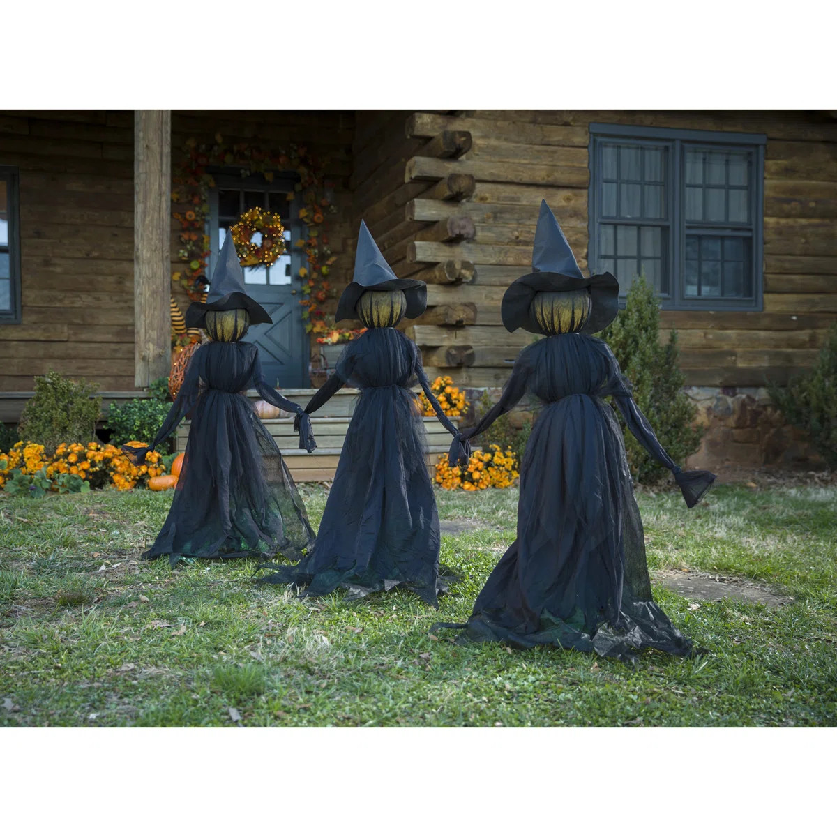 52" H LED Lighted Witch Garden Stake  (Set of 3) | Wayfair North America