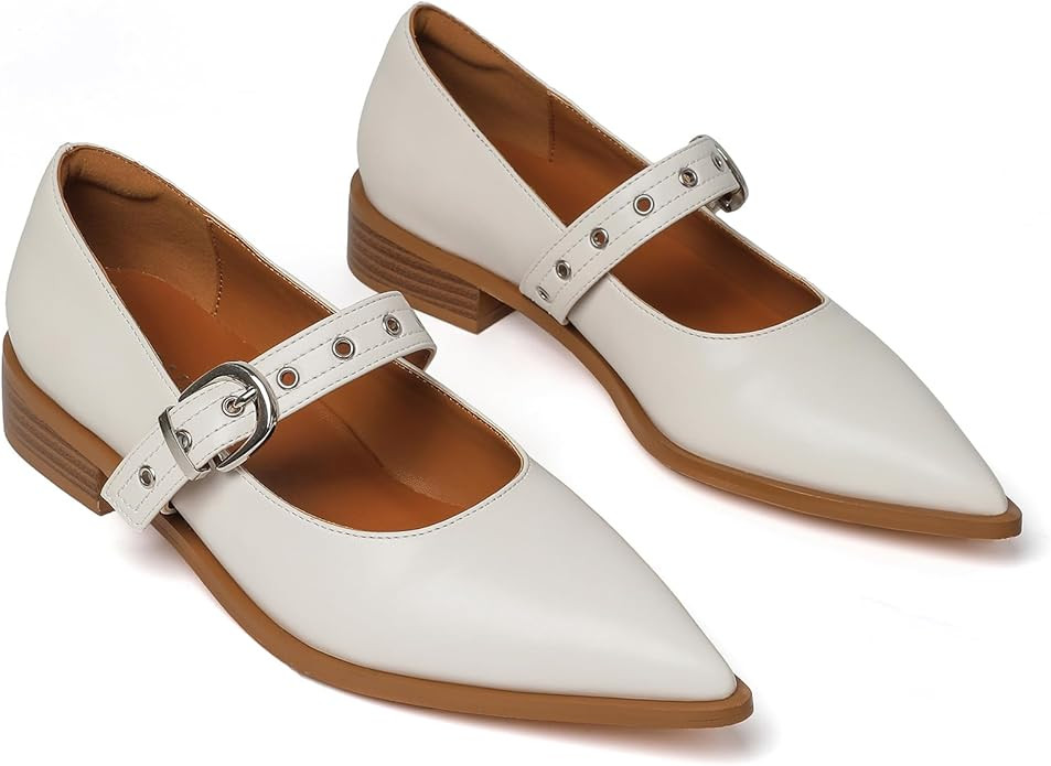 Mary Jane Shoes Women Chunky Low Heels Buckle Strap Pumps Womens Closed Pointed Toe Ballet Flats ... | Amazon (US)