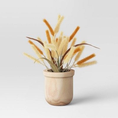 Small Bunny Tail Potted Arrangement - Threshold&#8482; | Target