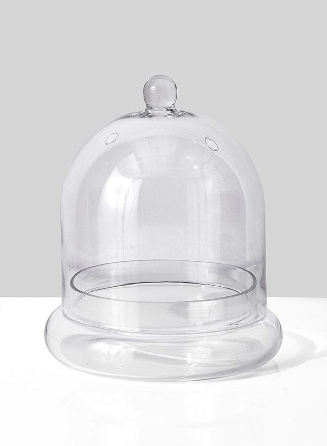 Serene Spaces Living Glass Cloche, Ideal as a Terrarium, Measures 9.5" Tall and 7.5" Diameter | Amazon (US)