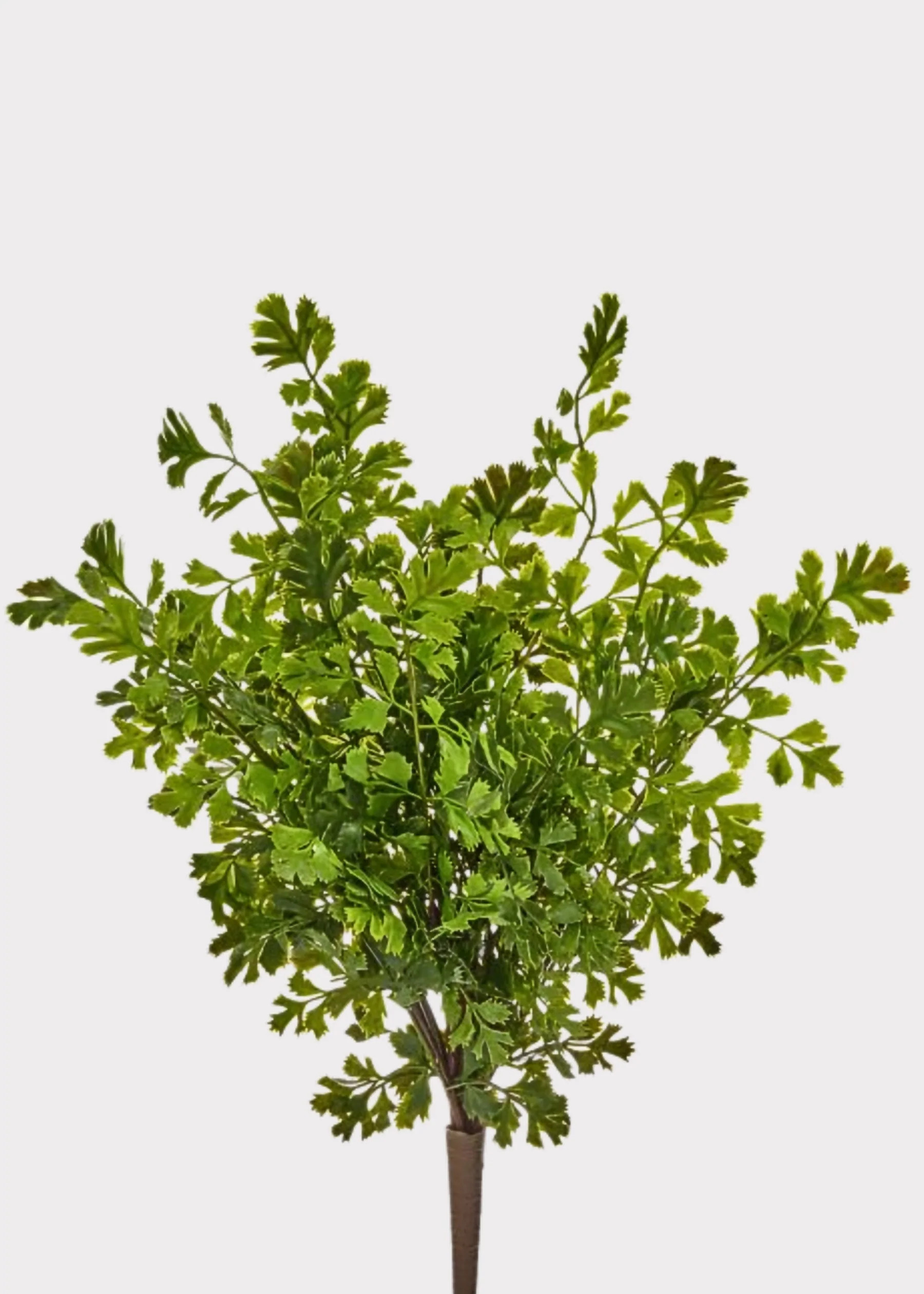 UV Treated Fern Bush | Indoor/Outdoor Artificial Plants | Afloral | Afloral
