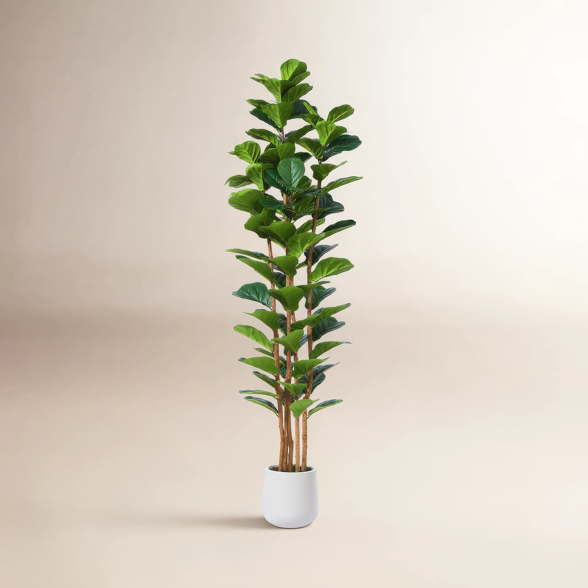 Adarna Artificial Fiddle Leaf Fig Tree with Realistic Leaves and Natural Trunk, Potted Tree | AllModern