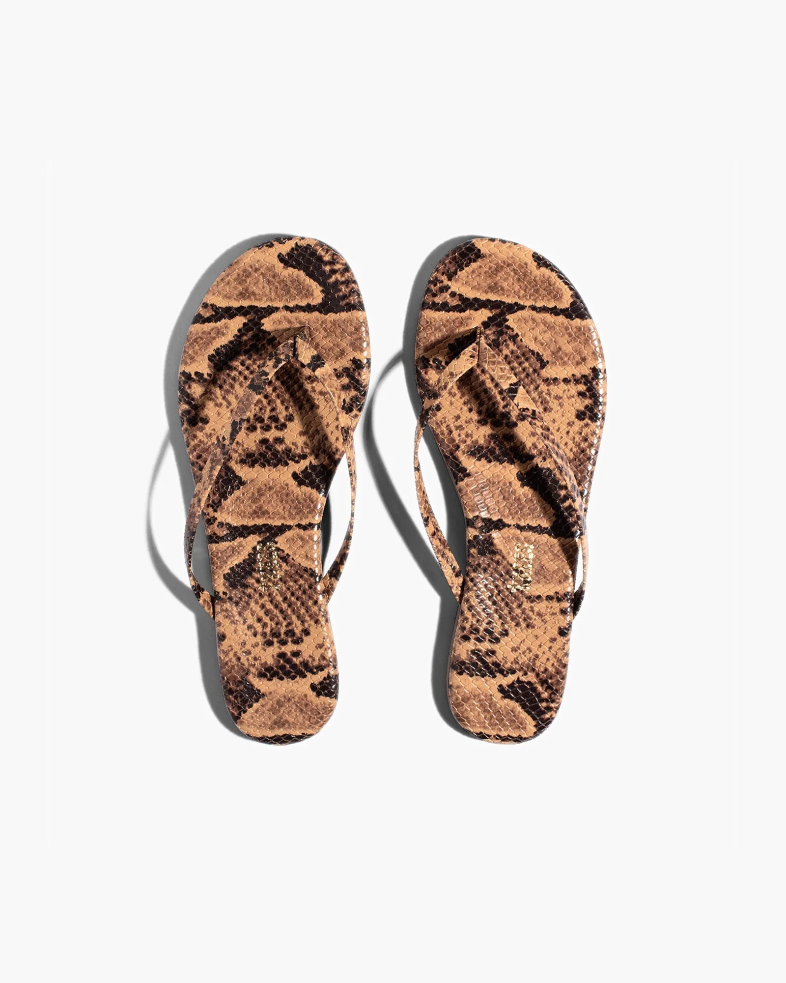Lily Vegan Animal - Coco Snake | TKEES