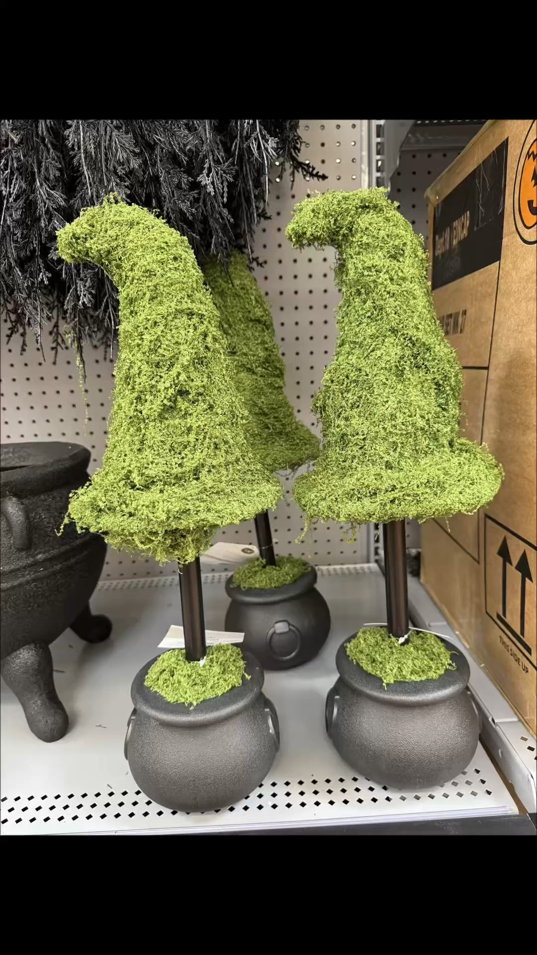 Walmart’s My Texas House Halloween Moss Witch Hat Topiary in Cauldron, Green and Black, 20"

#halloweendecor #halloweendecorations

Affordable Halloween decor, Halloween topiary, witch hat topiary, Walmart Halloween decorations, Walmart, Halloween decorations under $25

#LTKSeasonal #LTKHome