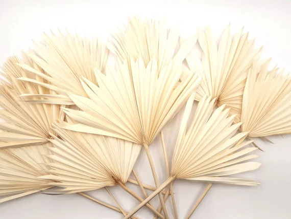 10pcs White Palm Leaves, Dried Palm Leaves, Bleached Palm Leaves, Dried Palms, White Floral Decor... | Etsy (US)
