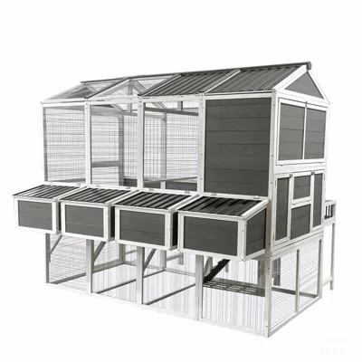 Chicken Coop With Chicken Run, Chicken Coops For 10 Chickens Outdoor With Nesting Boxes , Walk-In Chicken House With Pull Out Trays , Garden Backyard | Wayfair North America