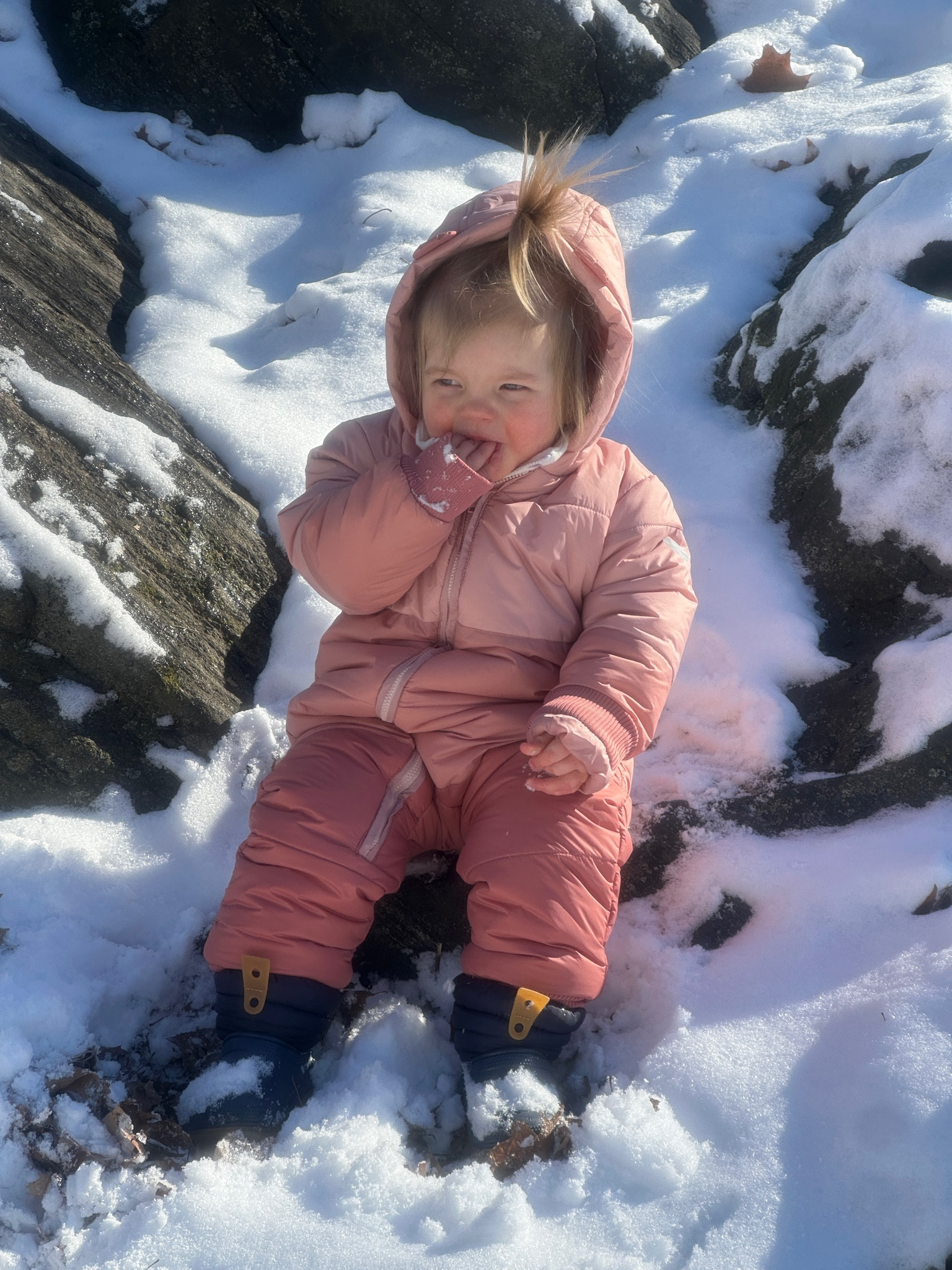 Snow day in central park, the toddler essentials! 