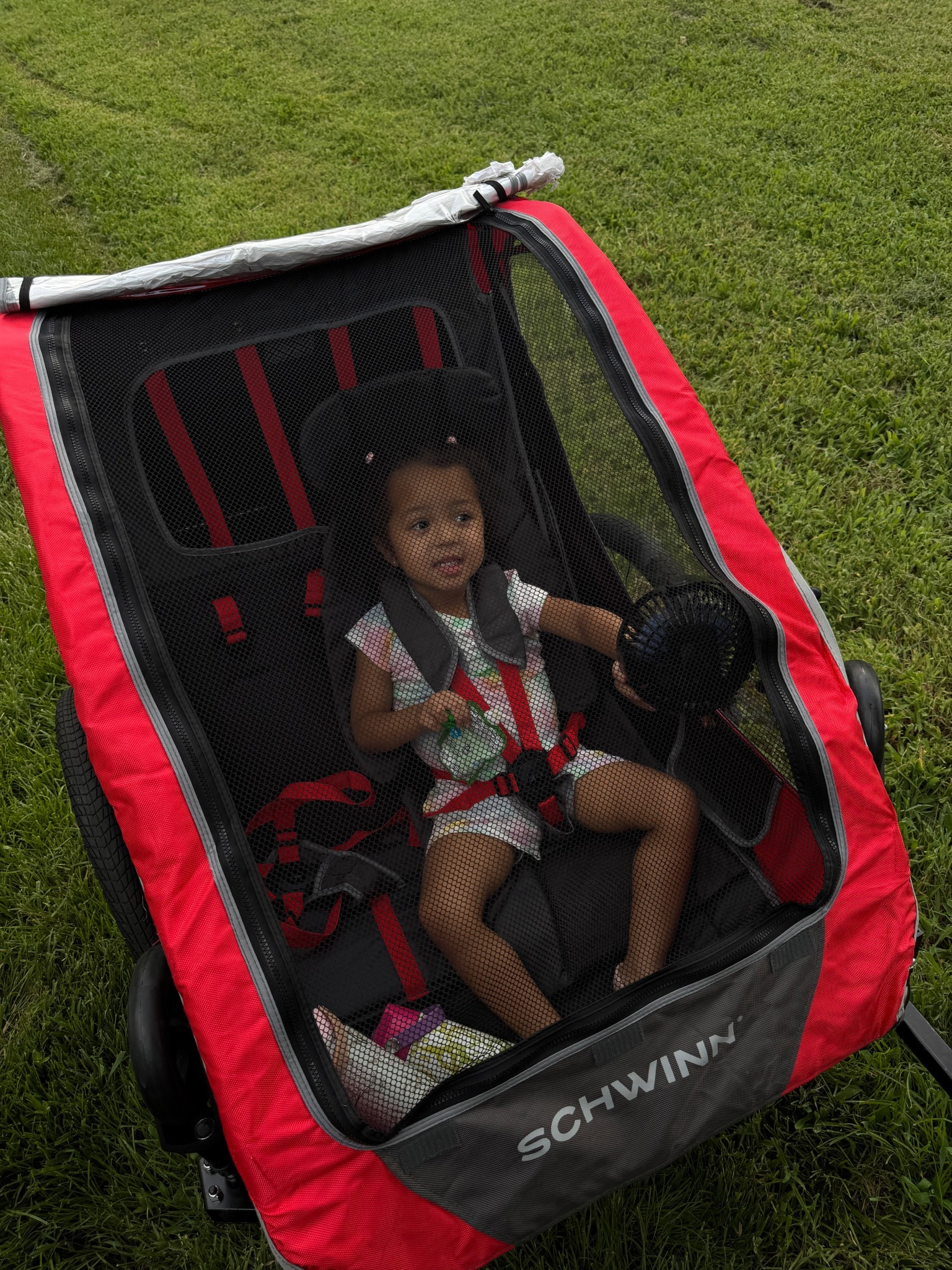 This bike wagon is a game changer for family rides! 🛞 It attaches easily to the bike, has room for the little one and snacks, and folds up for storage. Highly recommend for anyone with kids!
Everything is linked on my LTK! 

#LTKActive #LTKTravel #LTKSaleAlert
