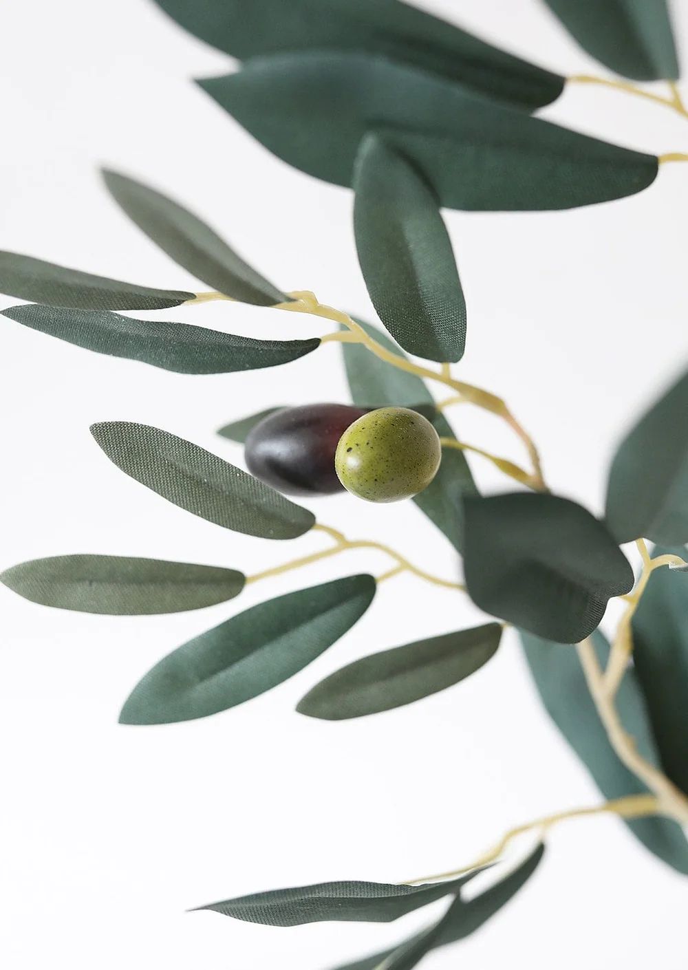 Fake Olive Branch - 35 | Afloral (US)