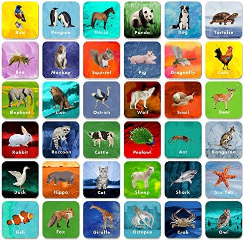Hebayy 36 Pair Animal Matching Game Flash Cards Erasable (Each Measures 2” X 2”) | Amazon (US)