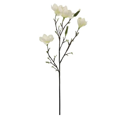Ashland 40" Magnolia Oversized Stem, Spring Floral for Crafting and Home Decor | Amazon (US)