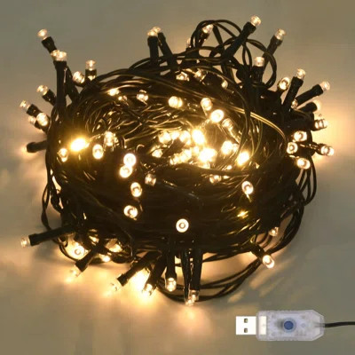 Light String with LEDs Christmas Lighting Fairy Lights with 8 Effects | Wayfair North America