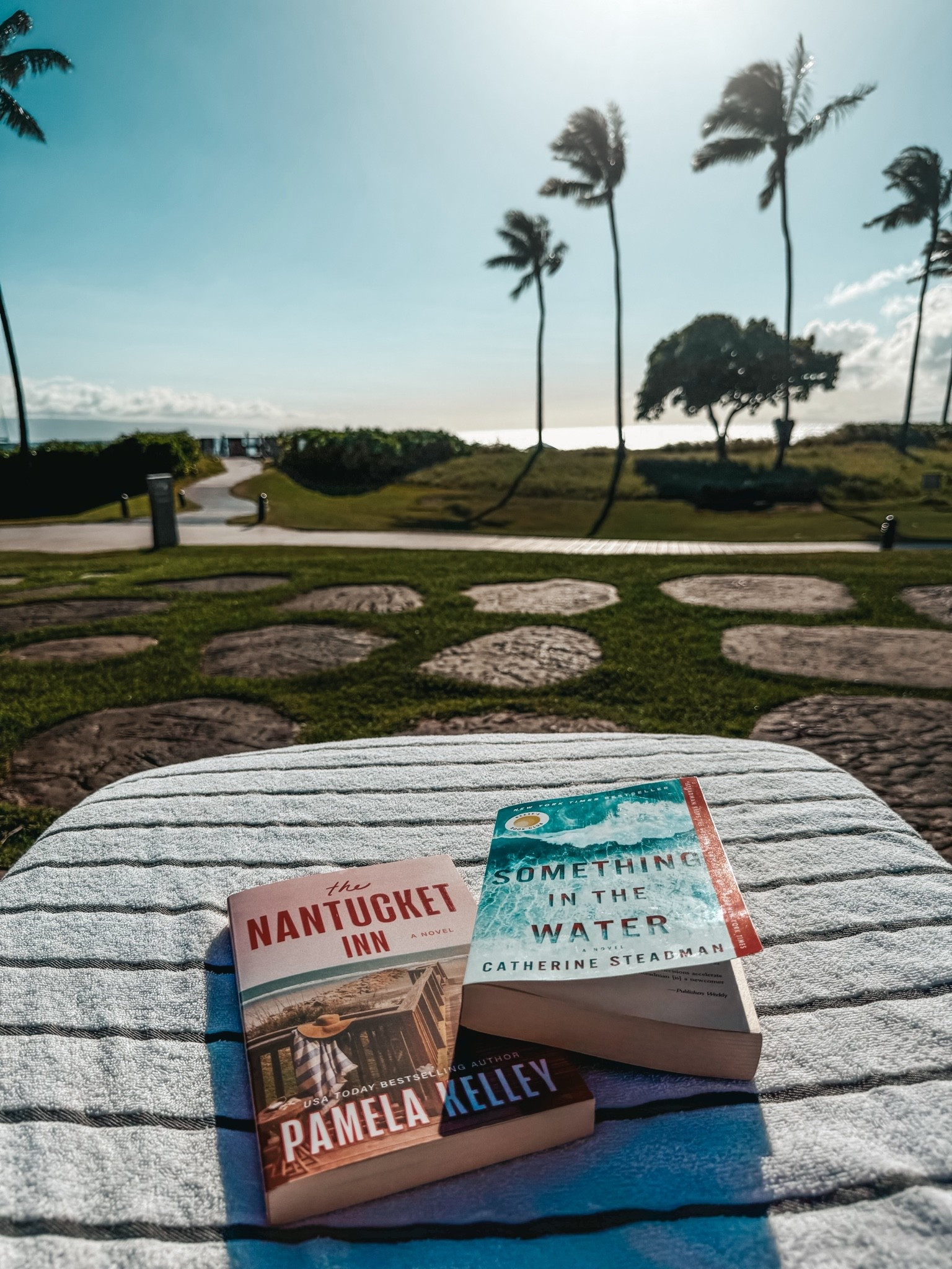 Summer book club 📖 🌴 

Books to read, babes in the covers, book recommendation

#LTKTravel #LTKstorytime #LTKOver40