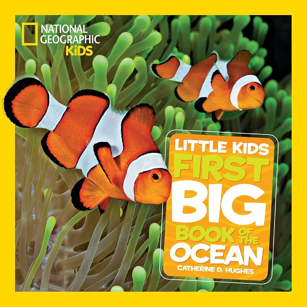National Geographic Little Kids First Big Book of the Ocean (National Geographic Little Kids Firs... | Amazon (US)