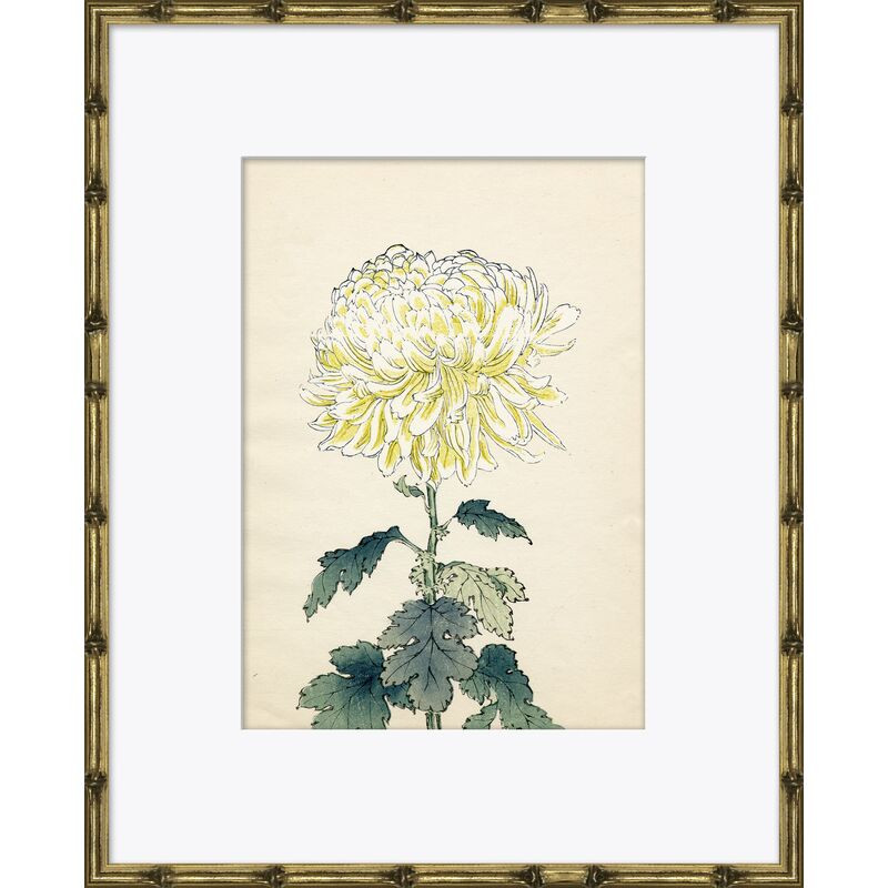 Asian Flower 3 | One Kings Lane