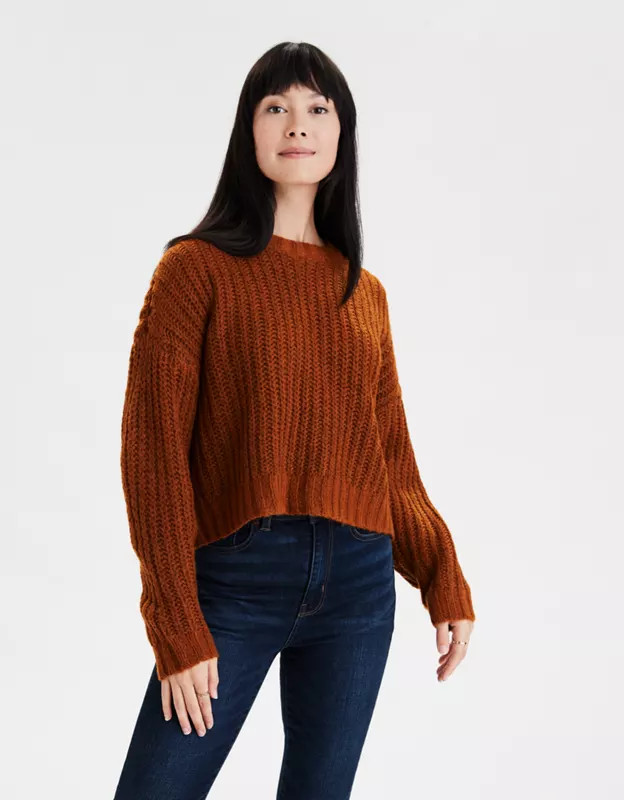 AE Cozy Crew Neck Sweater | American Eagle Outfitters (US & CA)