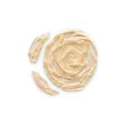 Dual Enzyme Polish | Colleen Rothschild Beauty