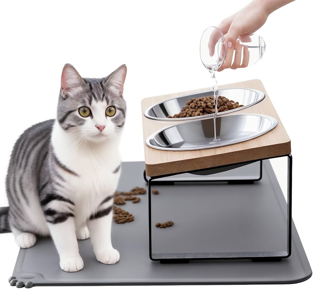 Upgraded Elevated Cat Bowls with Food Mat,15°Tilted Stand Anti Vomiting Raised Cat Dishes for Fo... | Amazon (US)