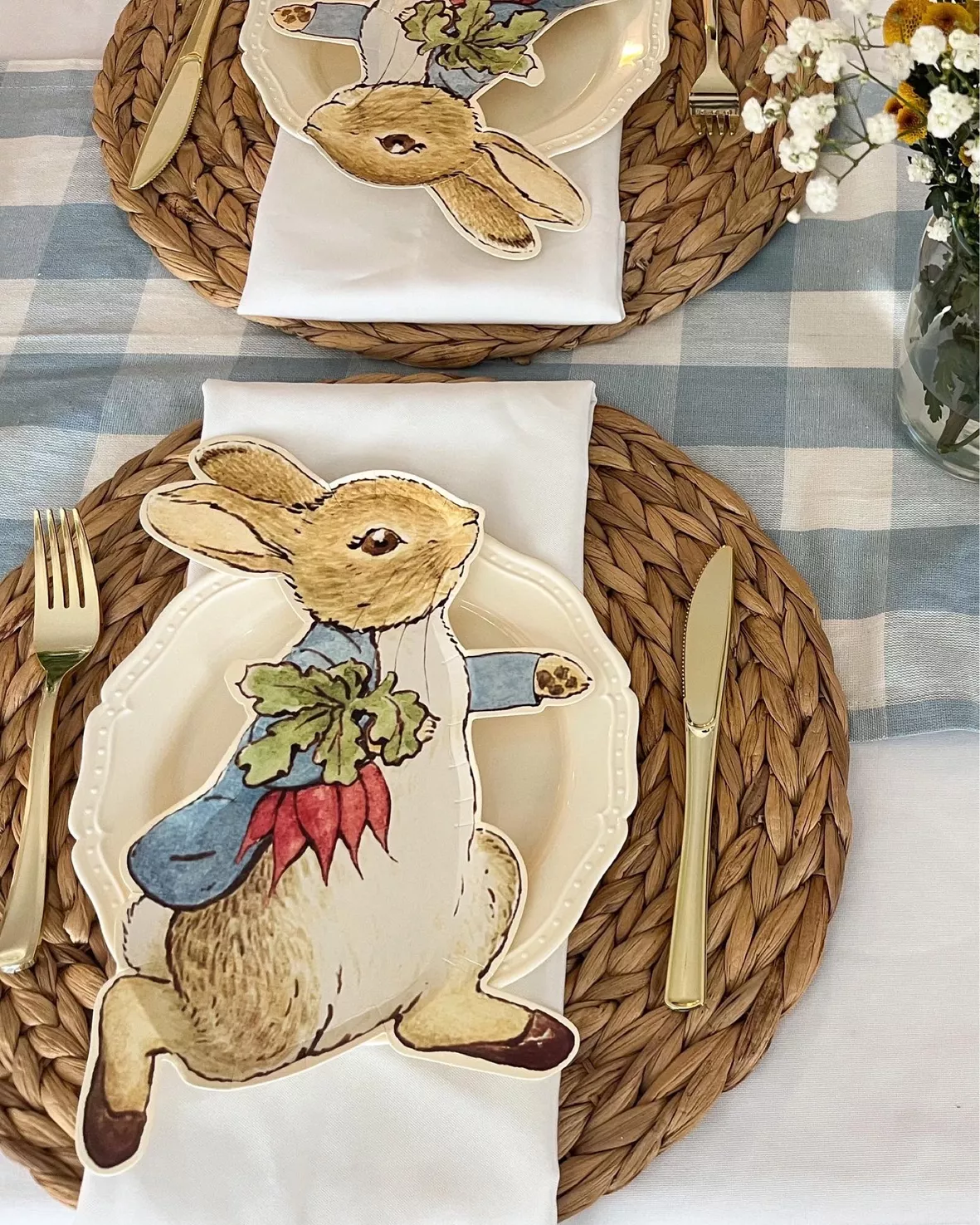 Meri Meri Peter Rabbit™ Plates (pack Of 12) : Target