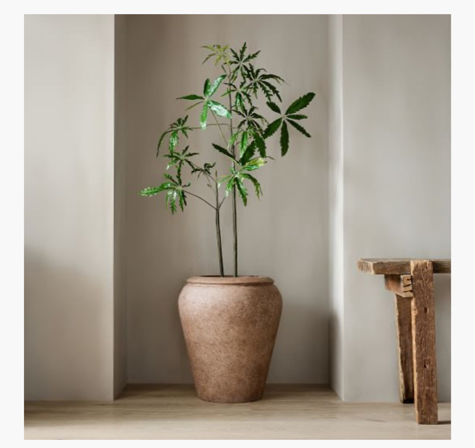 Perfect Faux Accent Tree and Planter Pot, Home Decor, Entry, Dining Room, Living Room, West Elm

#LTKstyletip #LTKSeasonal #LTKhome