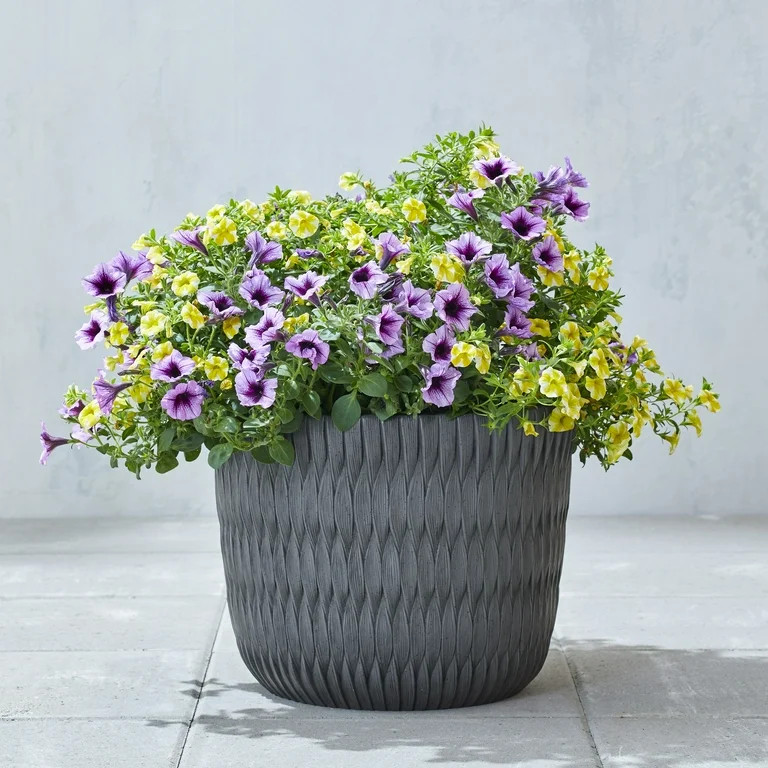 Better Homes & Gardens Carly Black Resin Planter, 15.9in Dia x 12.5in H | Walmart (US)