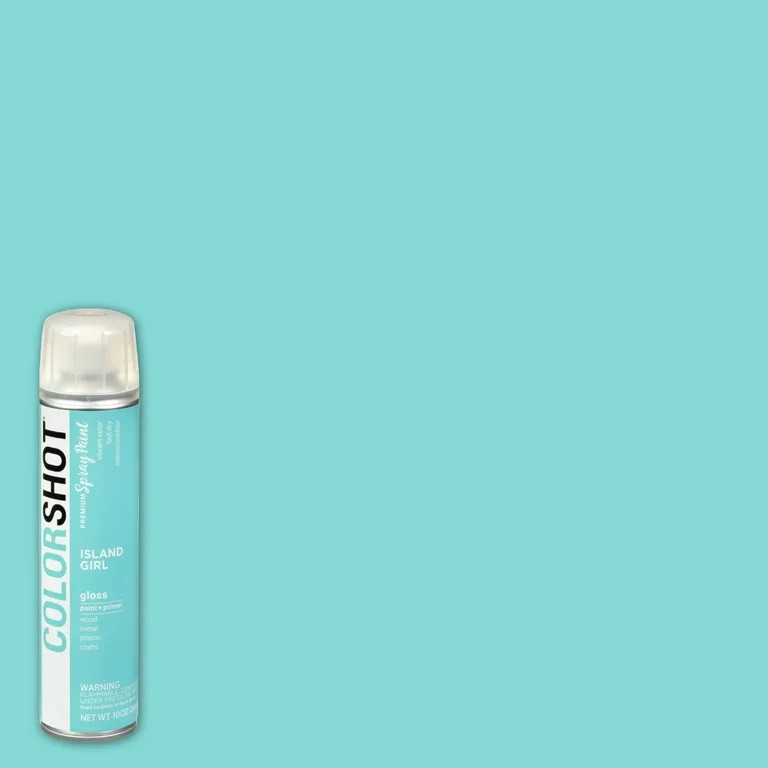 COLORSHOT Premium Gloss Island Girl Spray Paint - 10 oz. - Mint | Walmart (US)