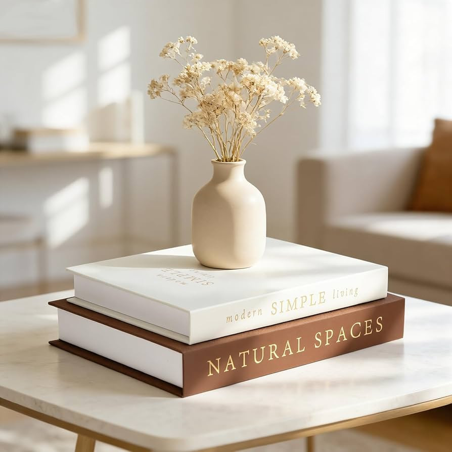 Exquisite Decorative Books - Set of 2 Stylish Boxes, Enhance Your Coffee Table, Book Shelf and Ma... | Amazon (US)