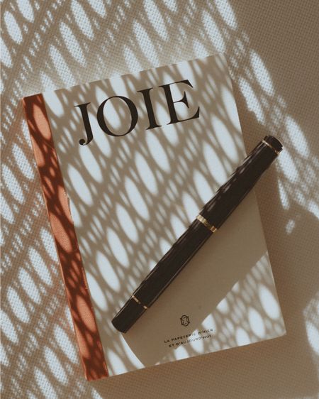 Do you like journaling and taking notes? I do. My favorite notebooks are by Les Composantes Sézane and Moleskine + this fountain pen by Pelican makes every note so special. 

#LTKGiftGuide #LTKSeasonal #LTKFindsUnder100