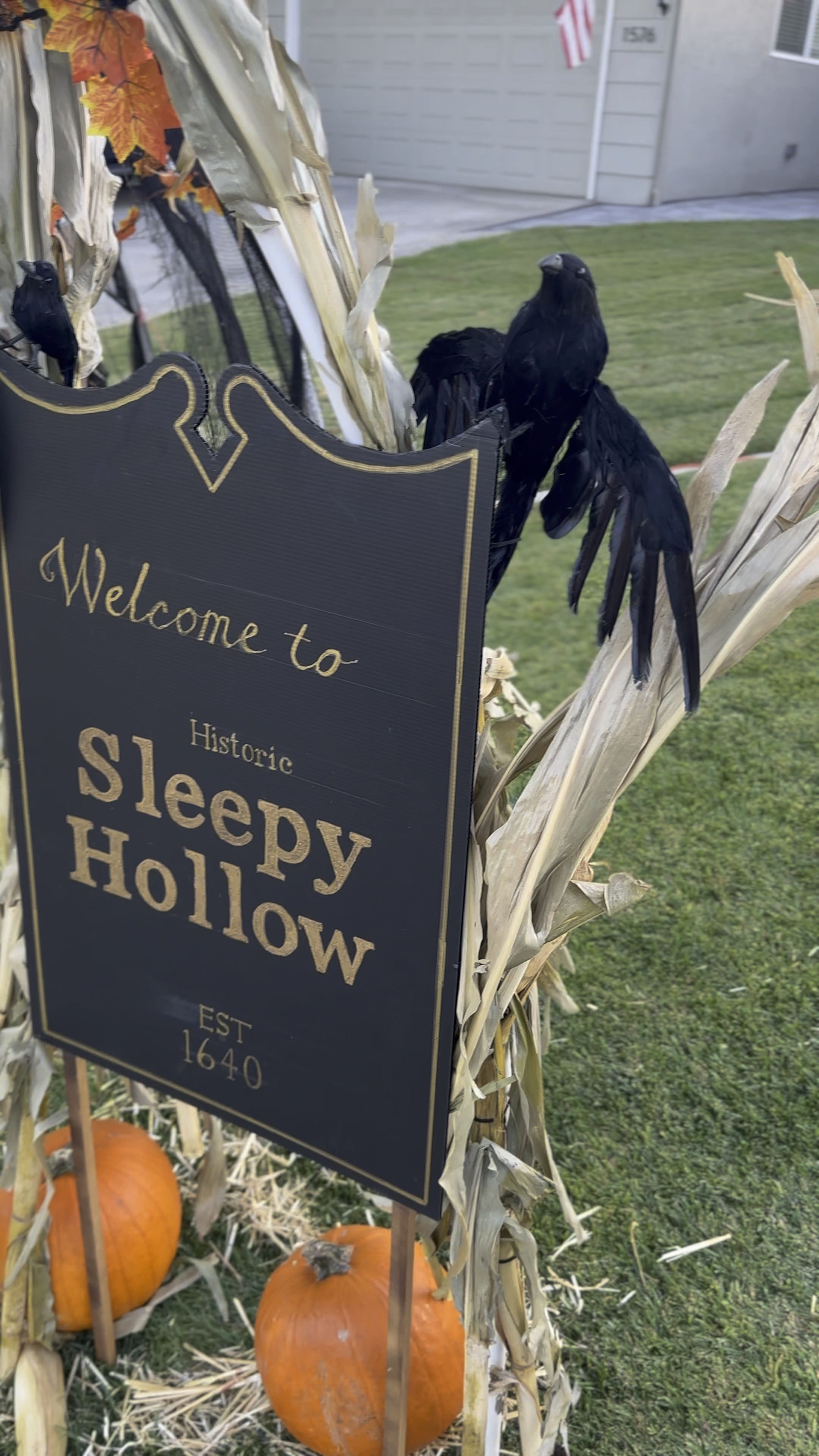 I love my crows! 🐦‍⬛ I think I may need more  

#LTKSeasonal #LTKHalloween