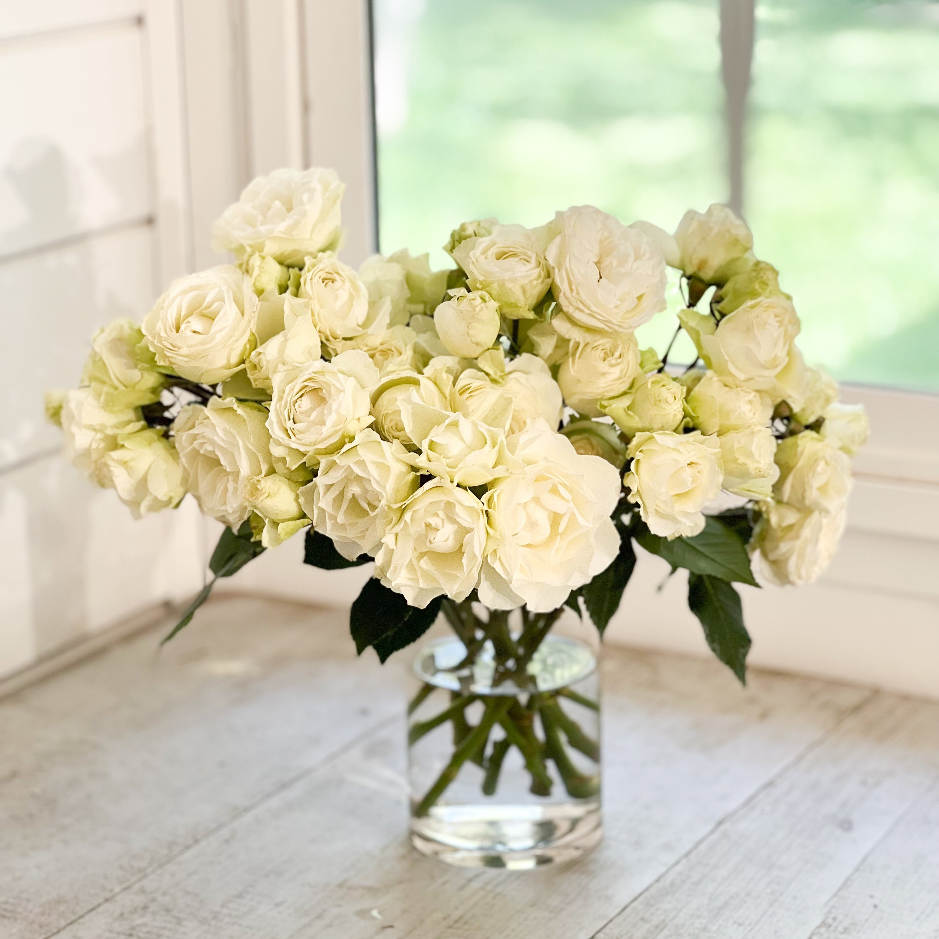 Blanche Spray Rose | grace rose farm