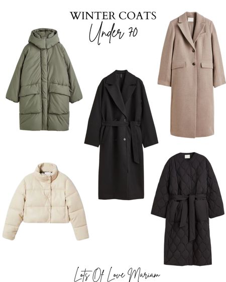 Cute winter coats for every budget! Check out my blog: www.lotsoflovemariam.com where I have added more than 40+ stylish winter coats that will give your winter outfits the perfect finish! 🤍 #wintercoats #woolcoats #pufferjackets #quiltedjackets 

#LTKSeasonal #LTKHoliday #LTKCyberweek
