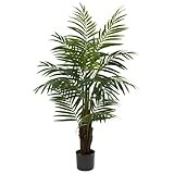 Nearly Natural 5415 Areca Palm Tree, 4-Feet, Green,10.5" x 10.5" x 40 | Amazon (US)