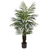 Nearly Natural 5415 Areca Palm Tree, 4-Feet, Green,10.5" x 10.5" x 40 | Amazon (US)