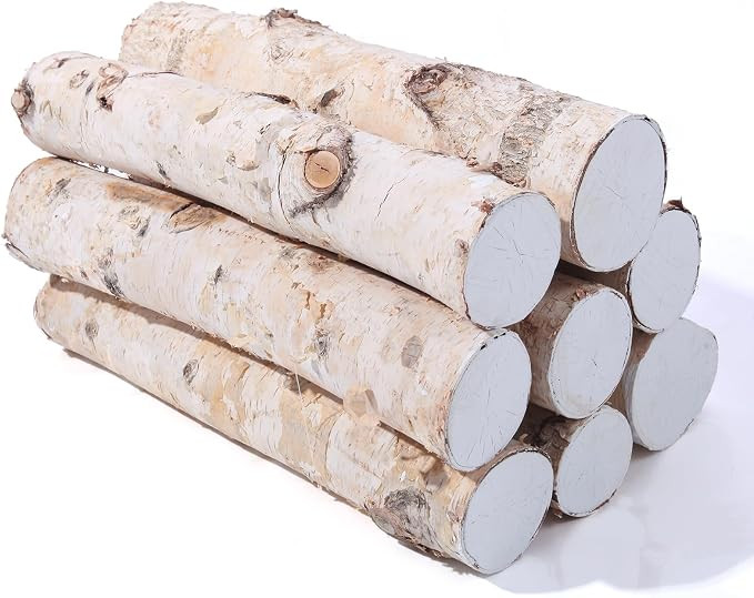 8 Pack Birch Logs for Fireplace Decor Crafts Versatile Wood Fireplace Logs | Unfinished Wood Fire... | Amazon (US)