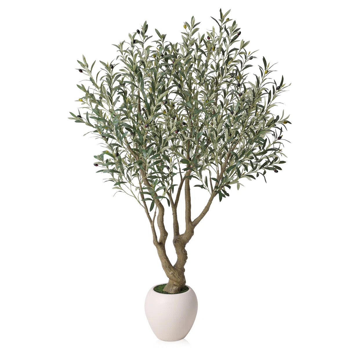 Transform your home into a sun-drenched Mediterranean sanctuary with the most lifelike olive tree... | Wayfair North America