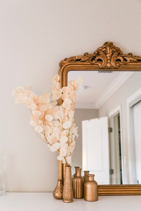 Dried Preserver Apple Golden White  Preserved Apple  Dried | Etsy | Etsy (US)