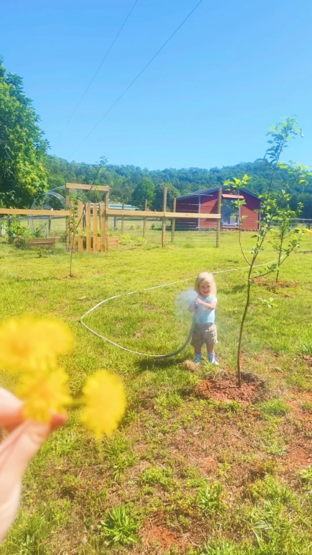 I just love spending these precious days out in the garden 🪴 with my babies!! 👶🏼🌾 They loveeee the hose sprayer 💦 and were just having the time of their lives 🤩 outside 🙌🏽 all morning long 🌿 - like little boys should!! 🥰👏🏽

#LTKdayinmylife #LTKmomlife