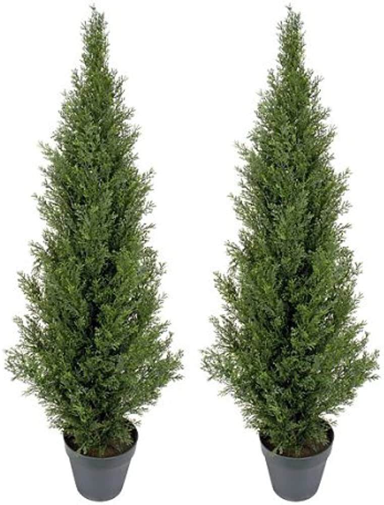 Pre-Potted 4' Artificial Cedar Topiary Outdoor Indoor Tree (Pack of 2) | Amazon (US)