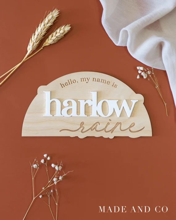 Custom Birth Announcement Hello My Name is Baby Name Sign  - Etsy | Etsy (US)