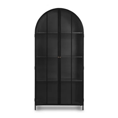 Peridan Cabinet-Black | Birch Lane