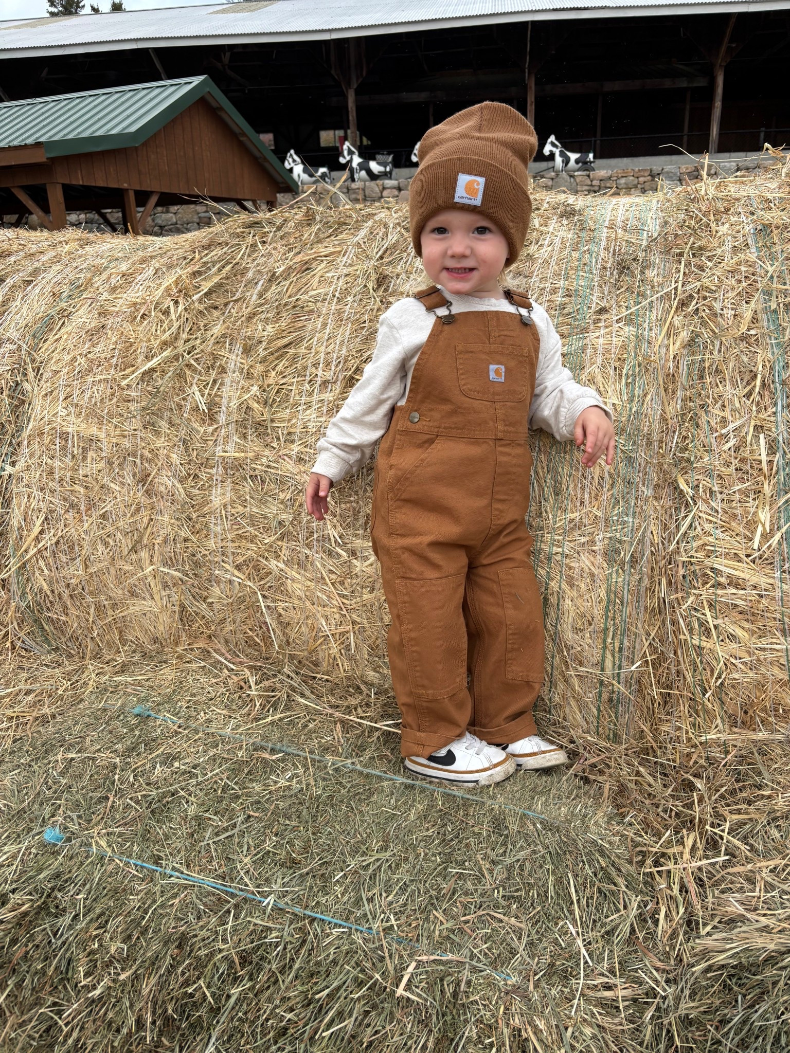 Toddler Carhartt Fall Outfit 🍂

Mini but mighty 🤎 This toddler Carhartt outfit is perfect for fall adventures — durable, cozy, and seriously cute. Whether it’s pumpkin picking or playtime, this little look is built to last!

#ToddlerStyle #CarharttKids #FallOutfit #MiniCarhartt #ToddlerFashion #FallToddlerStyle #LittleExplorer #ToddlerOOTD #CarharttBaby #CuteAndTough #FallKidsFashion #RusticKidsStyle #FarmVibes

#LTKKids #LTKSeasonal #LTKStyleTip