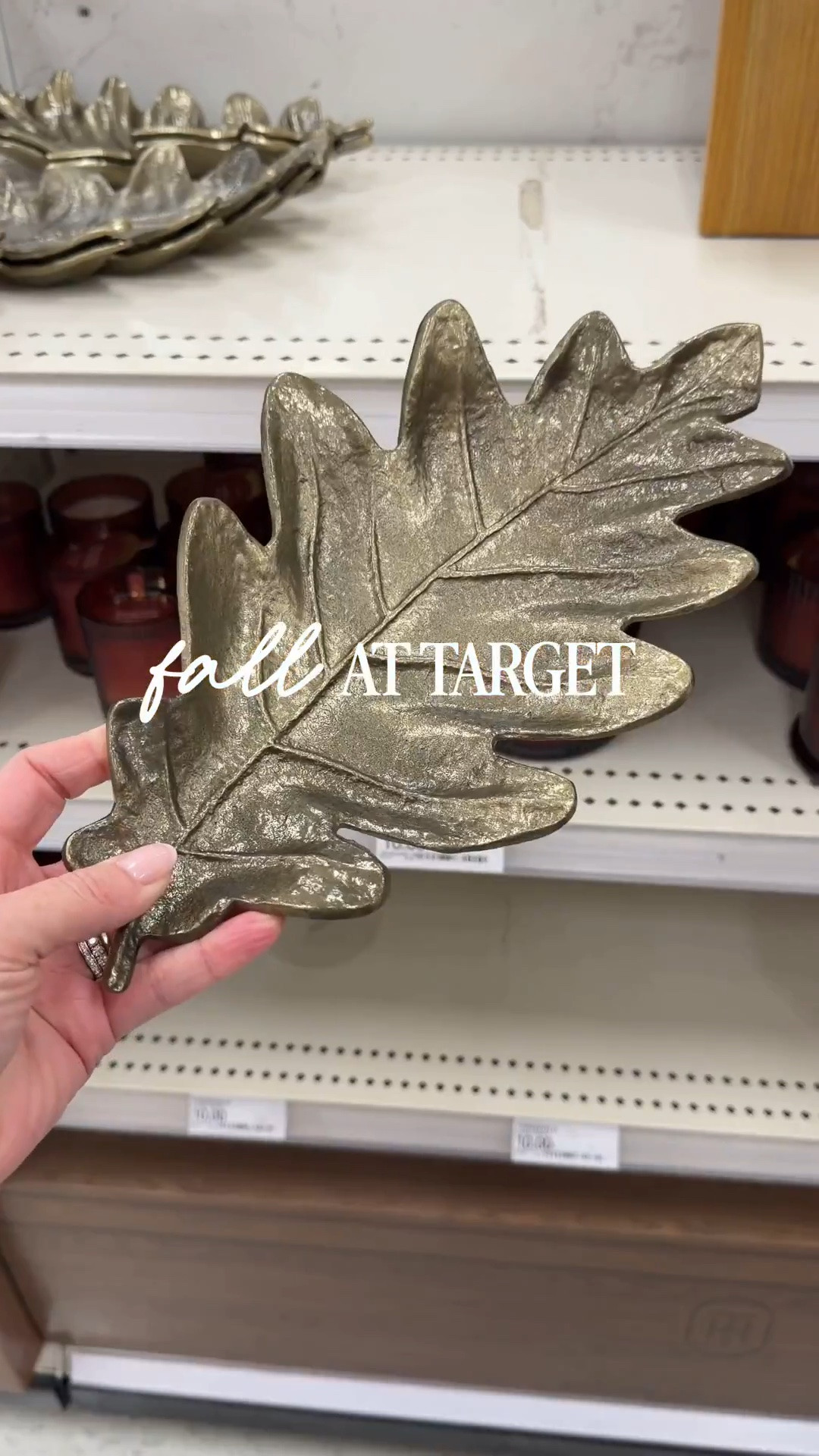 Ohh it’s all just too good!! I can always count on Target for great seasonal finds, but I think they’ve outdone themselves this fall 🤩 several of these came home with me!

#LTKHome #LTKSeasonal