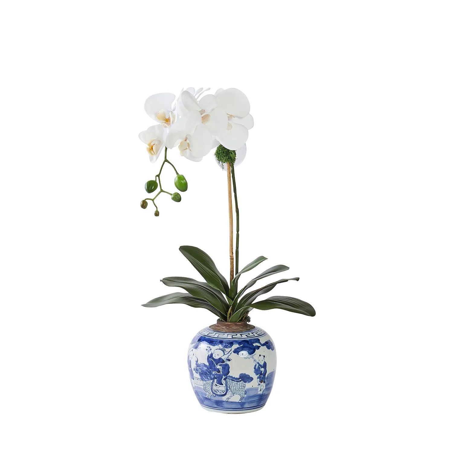 Single White Orchid in Chinoise Vase | Caitlin Wilson Design
