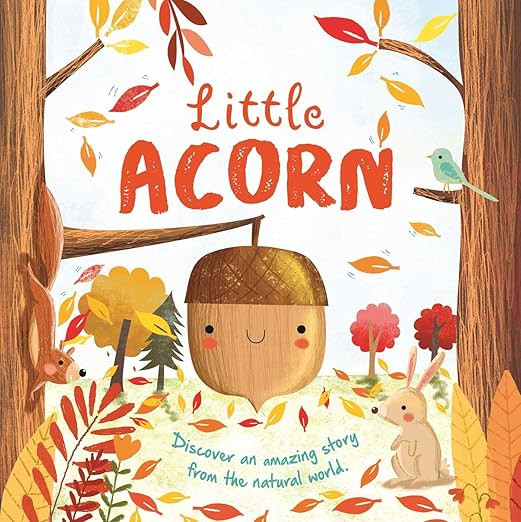 Nature Stories: Little Acorn-Discover an Amazing Story from the Natural World: Padded Board Book ... | Amazon (US)