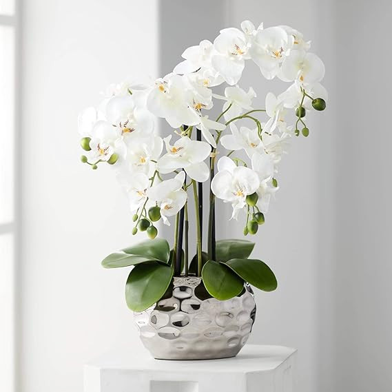 Dahlia Studios Potted Faux Artificial Flowers Arrangements Realistic White Phalaenopsis Orchid in... | Amazon (US)