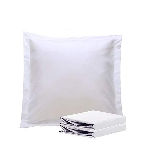 NTBAY 100% Brushed Microfiber 26x26 Euro Pillow Shams Set of 2, Super Soft and Cozy European Throw P | Amazon (US)