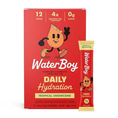 Waterboy Daily Hydration Dietary Supplement Powder - Tropical Snowcone - 12pk | Target