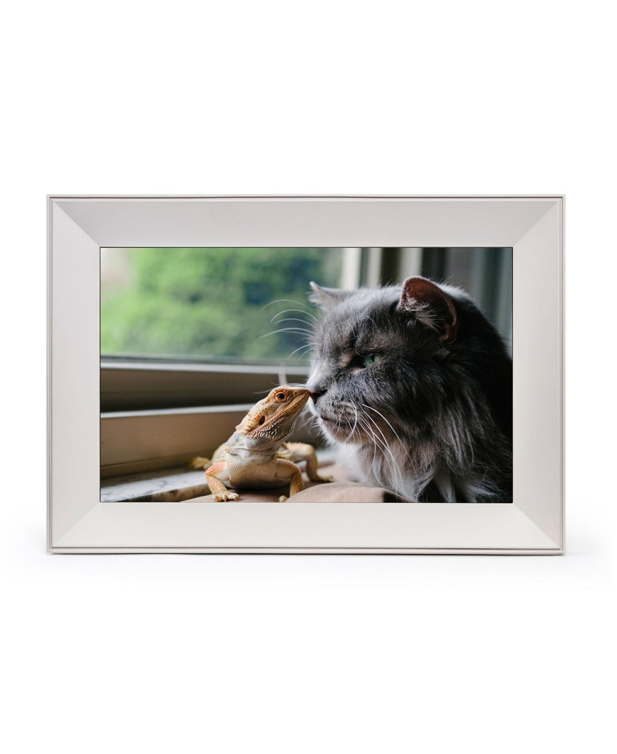 Buddy by Aura Frames - Biscuit | Macys (US)