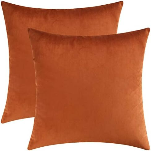 Mixhug Decorative Throw Pillow Covers, Velvet Cushion Covers, Solid Throw Pillow Cases for Couch ... | Amazon (US)